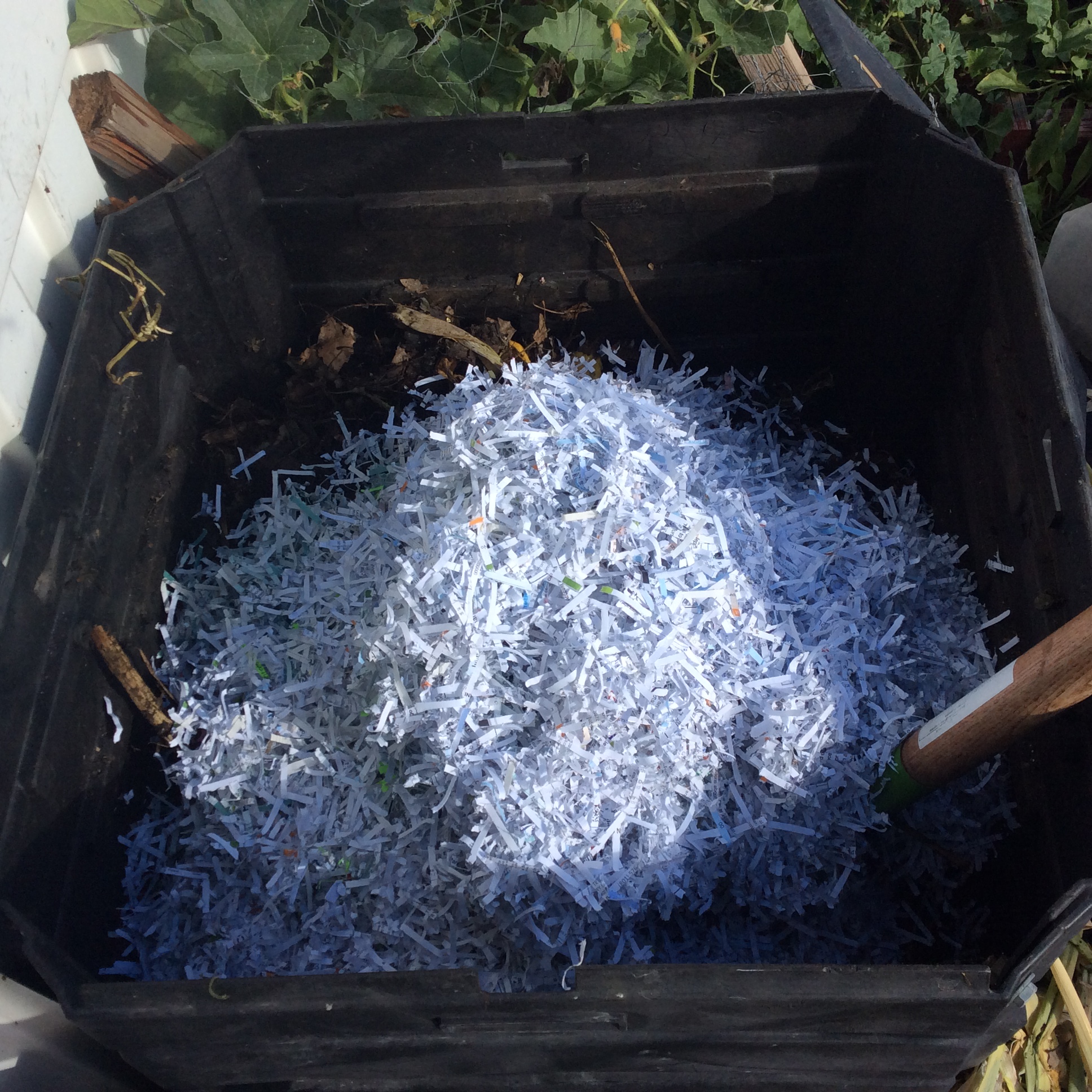 compost-with-shredded-paper-the-wealthy-earth