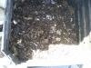 compost-dump-mix-in_0