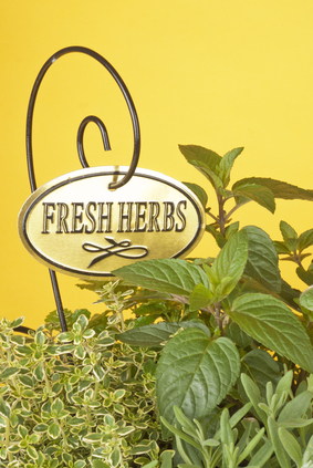 fresh herbs-1