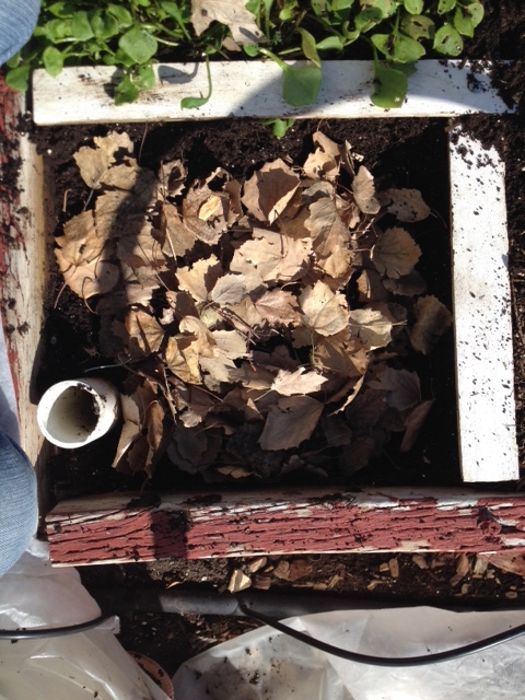 composting with leaves